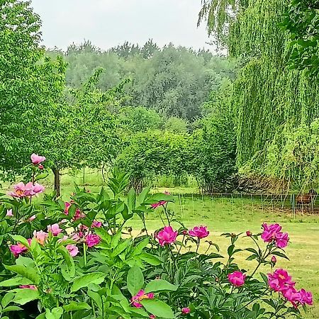 Les Chambres Du Vert Galant Rez De Jardin Verlinghem Exteriör bild