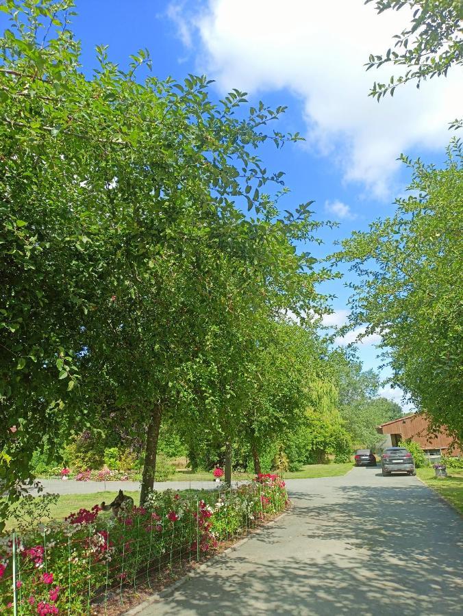 Les Chambres Du Vert Galant Rez De Jardin Verlinghem Exteriör bild