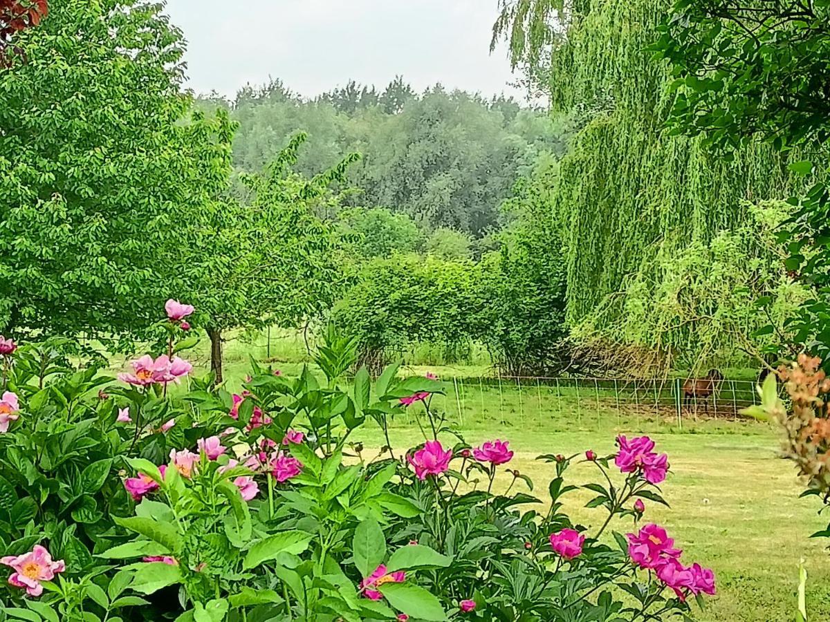Les Chambres Du Vert Galant Rez De Jardin Verlinghem Exteriör bild