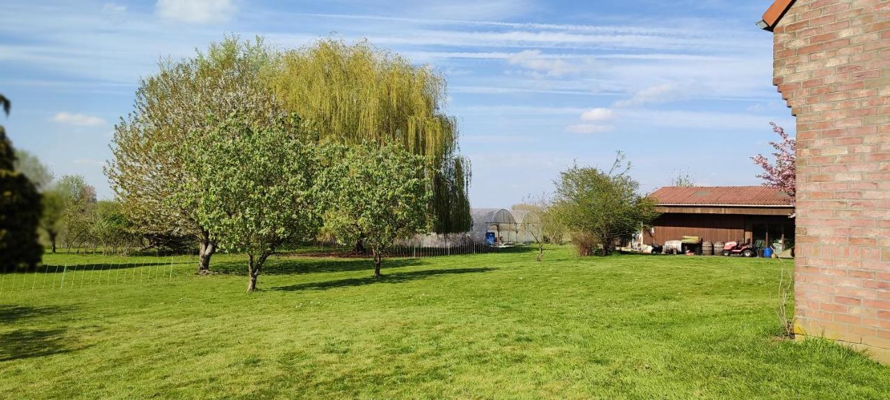 Les Chambres Du Vert Galant Rez De Jardin Verlinghem Exteriör bild